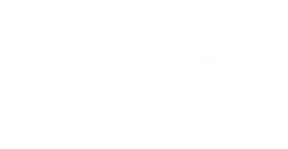 partners who work with Pin up